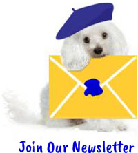 Join Our Newsletter!